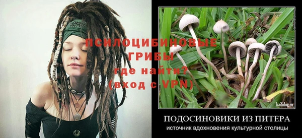 крисы Балабаново